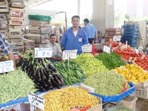 Turşuluk alışverişi başladı, fiyatlar arttı