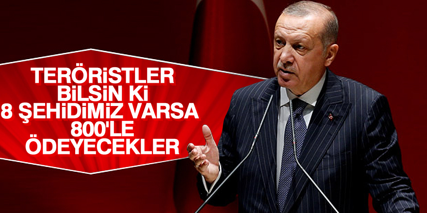 Erdoğan: 800 teröristle ödeyecekler