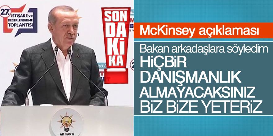 Cumhurbaşkanı Erdoğan'dan McKinsey açıklaması