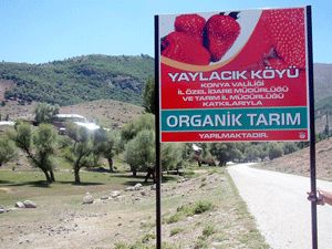 Organik köyler arttı