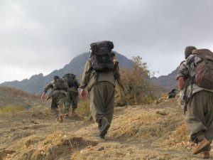 PKK: Tunceli'deki saldırıları biz yapmadık!