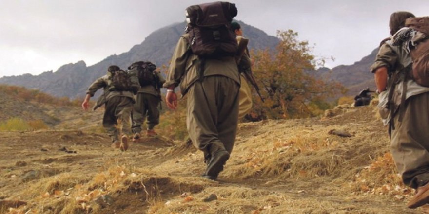 Suudi Arabistan'dan YPG/PKK'ya 100 milyon dolar yardım
