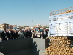 Şeker’de pancar alım kampanyası başladı