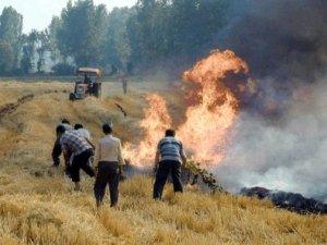 Saman ihtiyacı Sarayönü'nde anız yangınlarını azalttı