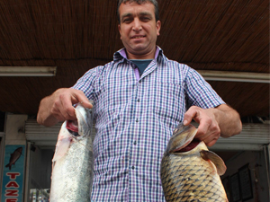 Beyşehir'de balıklar tezgahları süslemeye başladı