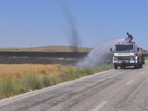 Cihanbeyli'de buğday ekili alan yandı