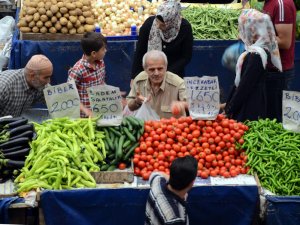 Domatesteki çeşit artışı tüketiciye yaradı