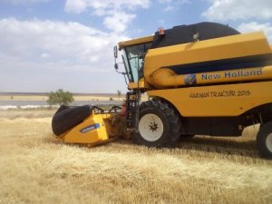 Cihanbeyli Ovası'nda 2013 buğday hasadı