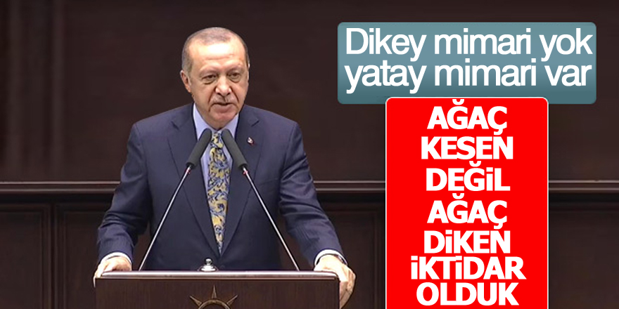 Erdoğan: Ağaç kesen değil ağaç diken iktidar olduk