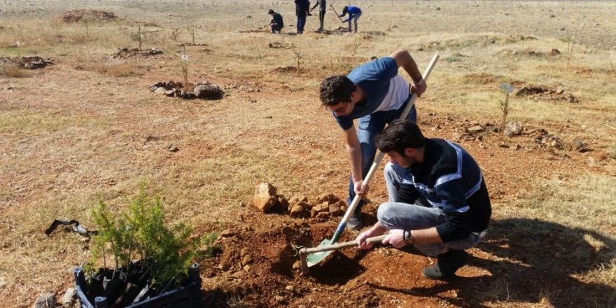 Üniversite öğrencileri, 15 Temmuz ve Afrin şehitleri için fidan dikti