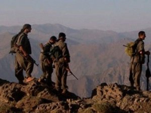 Cizre'de geniş çaplı operasyon düzenlendi