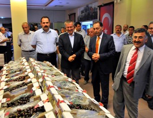 Akşehir'de kiraz festivali