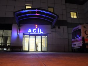 Dilini eşek arısı soktu