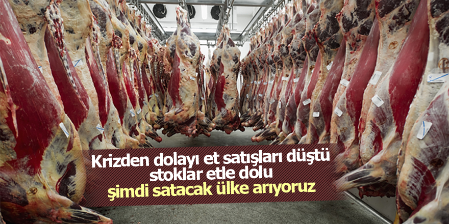 Türkiye et ihracatına hazırlanıyor!