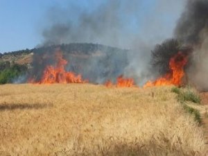 Beyşehir'de buğday tarlaları yandı