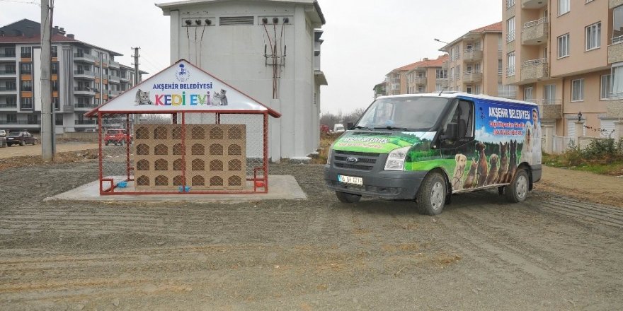 Akşehir Belediyesinden ‘Kedi Evi’ projesi