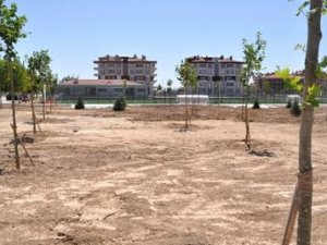 Karatay'da Spor Tesisi Ağaçlandırıldı