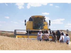 Kurallara Uymayan 20 Biçerdöver Operatörüne Cezai İşlem Uygulandı