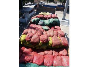 Bursa’da 17 Bin 700 Kilo Kaçak Midye Ele Geçirildi