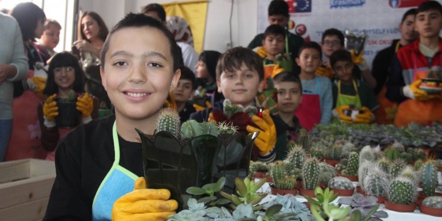 Sınıfı seraya çevirip kaktüs ektiler