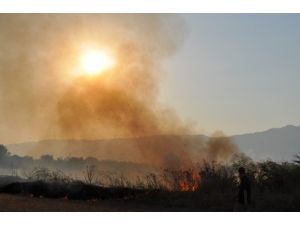 Edremit’in Bostancı Köyünde Yangın Çıktı