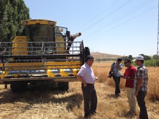 Dane kaybına dikkat