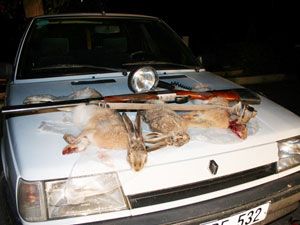 Projektörle tavşan avlayan 3 kişi yakalandı