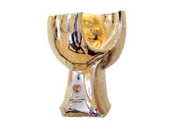 Süper Kupa'nın oynanacağı yer belli oldu