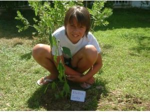 Otel Personeli Turist Çocuklarıyla Çiçek Ve Fidan Dikti