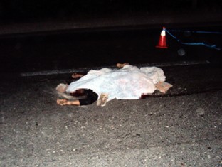 3 aracın çarptığı şahıs feci şekilde öldü