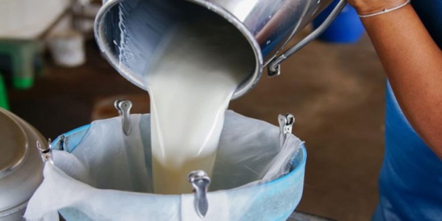 Süt prim desteği 25 kuruşa çıktı