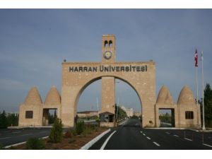 Harran Üniversitesi'nde Hem Okuyor Hem Para Kazanıyorlar