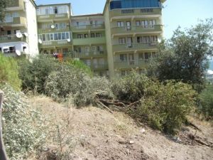 Mudanya'da Sosyal Tesis İçin Ağaç Kesimine Mahalle Tepkisi