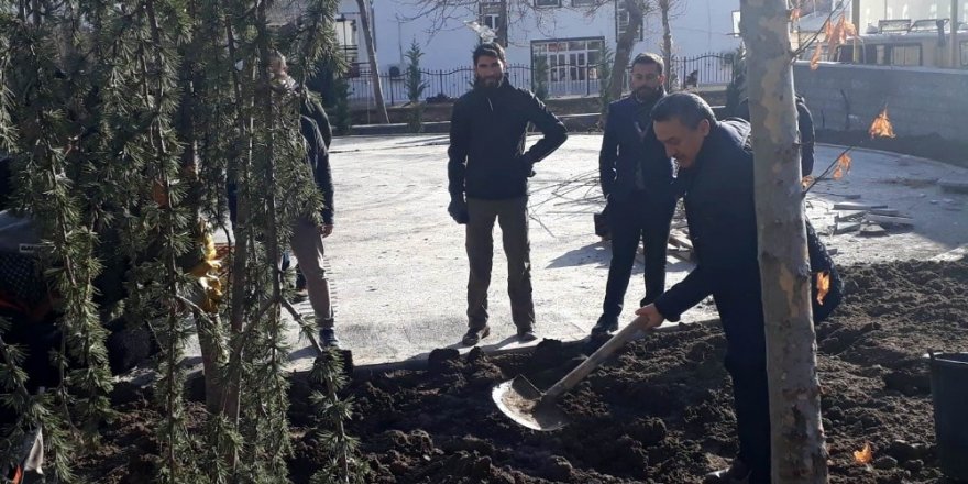 Başkan Tutal, Millet Parkı’na ağaç dikti