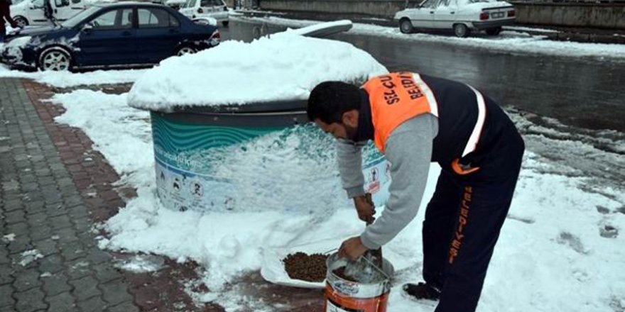 Selçuklu Belediyesi sokak hayvanları için doğaya yem bıraktı