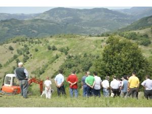 Bal Ormanında İnceleme Yapıldı