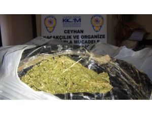 Ceyhan’da 35 Kilo Esrar Ele Geçirildi