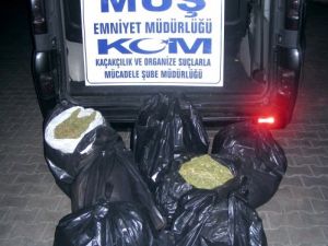 Muş’ta 53 Kilo Uyuşturucu Ele Geçirildi
