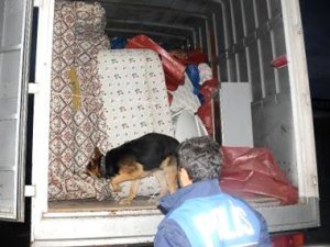 Ev Eşyası Yüklü Kamyonda 40 Kilo Esrar Ele Geçirildi