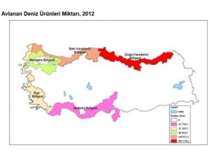 Balık Üretimi Yüzde 8,34 Azaldı