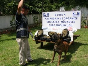 Uyuşturucu Operasyonunda 17 Bin Hap Ve 10 Kilo Esrar Ele Geçirildi