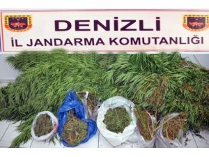 Denizli’de 14 Uyuşturucu Operasyonu
