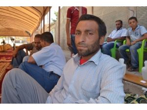 Savaşın Tarafsız Ve Savunmasız Kurbanı Bu Sefer Mahsun Oldu