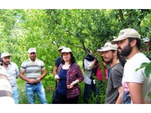 Ziraat Öğrencileri Tarım İl Müdürlüğü'nün Çalışmalarını Yerinde İnceledi