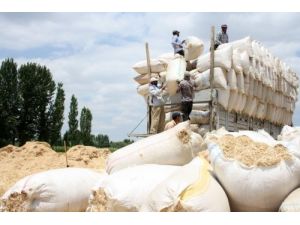 Bolluk Samana Yaklaşık 9 Kat Değer Kaybettirdi