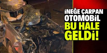 Karaman'da ineğe çarpan otomobildeki 5 kişi yaralandı