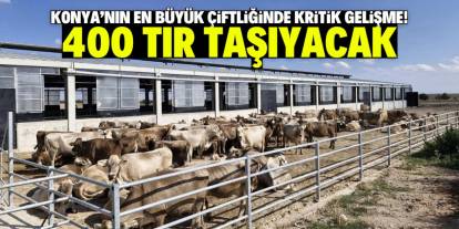 Konya'nın en büyük çiftliğinde kritik gelişme! 400 TIR taşıyacak