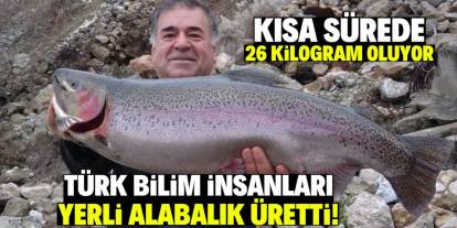 Türk bilim insanları yerli alabalık üretti! 26 kilograma kadar büyüyor