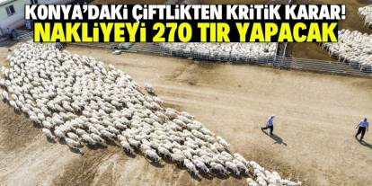 Konya'da 32 bin hayvan kapasiteli çiftlikten kritik karar! Nakliyeyi 270 TIR yapacak