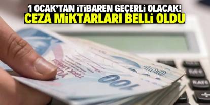 1 Ocak'tan itibaren geçerli olacak! Ceza miktarları belli oldu